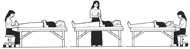 flocco integration image 750w